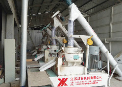 江苏南京六合四台640颗粒机生产线